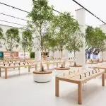 Apple Store